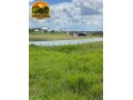 fazenda-de-luxo-de-6000-hectares-no-maranhao-10-mil-cabecas-de-gado-pista-de-pouso-e-padrao-cinematografico-small-1