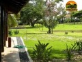 fazenda-de-luxo-de-6000-hectares-no-maranhao-10-mil-cabecas-de-gado-pista-de-pouso-e-padrao-cinematografico-small-3