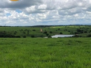 fazenda-de-luxo-de-6000-hectares-no-maranhao-10-mil-cabecas-de-gado-pista-de-pouso-e-padrao-cinematografico