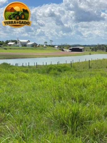 fazenda-de-luxo-de-6000-hectares-no-maranhao-10-mil-cabecas-de-gado-pista-de-pouso-e-padrao-cinematografico-big-1