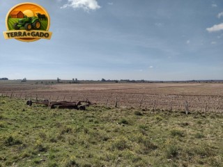 area-de-150-hectares-para-cultivo-de-arroz-em-sao-sepe-rs-seguranca-hidrica-e-pagamento-em-5-anos