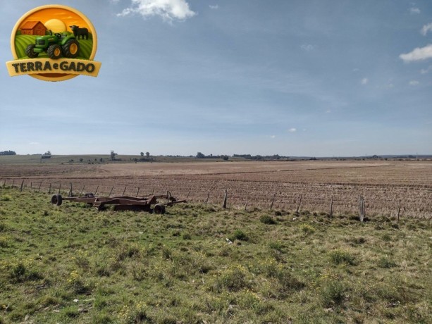 area-de-150-hectares-para-cultivo-de-arroz-em-sao-sepe-rs-seguranca-hidrica-e-pagamento-em-5-anos-big-0