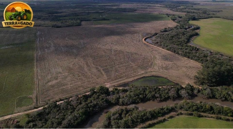area-de-150-hectares-para-cultivo-de-arroz-em-sao-sepe-rs-seguranca-hidrica-e-pagamento-em-5-anos-big-1