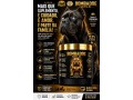 bombadog-gold-suplemento-alimentar-em-po-whey-para-caes-lata-450g-russdog-small-0