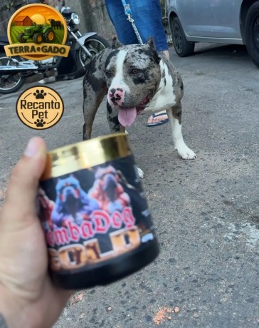 bombadog-gold-suplemento-alimentar-em-po-whey-para-caes-lata-450g-russdog-big-2