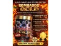 kit-3-unidades-bombadog-gold-suplemento-em-po-para-caes-450g-cada-small-1