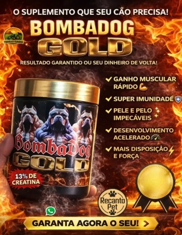 kit-3-unidades-bombadog-gold-suplemento-em-po-para-caes-450g-cada-big-1