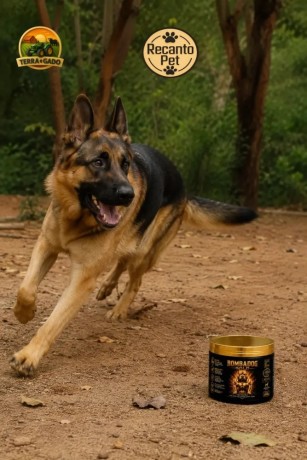 bombadog-gold-suplemento-alimentar-em-po-com-proteinas-e-creatina-para-caes-jovens-e-adultos-russdog-big-3