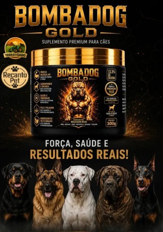 bombadog-gold-suplemento-alimentar-em-po-com-proteinas-e-creatina-para-caes-jovens-e-adultos-russdog-big-0