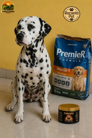 bombadog-gold-suplemento-alimentar-em-po-com-proteinas-e-creatina-para-caes-jovens-e-adultos-russdog-big-4