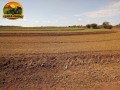fazenda-de-925-hectares-em-flores-de-goias-go-vocacao-arrozeira-potencial-para-pivos-e-margem-do-rio-parana-small-2
