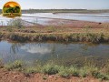 fazenda-de-925-hectares-em-flores-de-goias-go-vocacao-arrozeira-potencial-para-pivos-e-margem-do-rio-parana-small-3