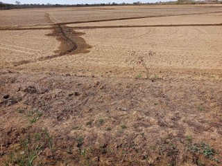 fazenda-de-925-hectares-em-flores-de-goias-go-vocacao-arrozeira-potencial-para-pivos-e-margem-do-rio-parana