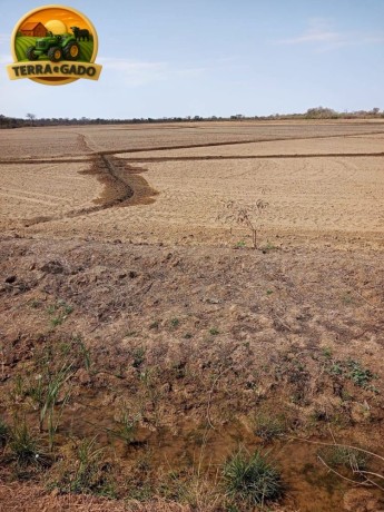 fazenda-de-925-hectares-em-flores-de-goias-go-vocacao-arrozeira-potencial-para-pivos-e-margem-do-rio-parana-big-0