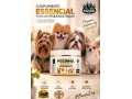 pozinho-magico-russdog-250g-suplemento-essencial-para-pequenas-racas-small-1