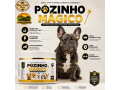 pozinho-magico-russdog-250g-suplemento-essencial-para-pequenas-racas-small-2