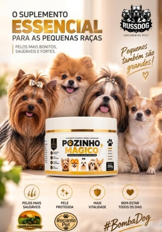 pozinho-magico-russdog-250g-suplemento-essencial-para-pequenas-racas-big-1