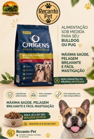 racao-origens-racas-especificas-bulldog-frances-e-pug-adultos-1-kg-big-0