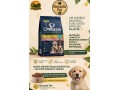 racao-origens-racas-especificas-filhotes-1-kg-small-0