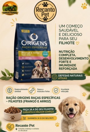 racao-origens-racas-especificas-filhotes-1-kg-big-0