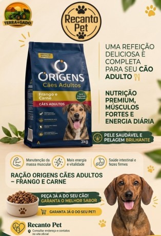 racao-origens-caes-adultos-frango-e-carne-3-kg-big-0