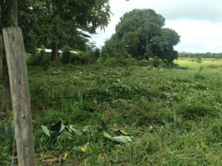 fazenda-a-venda-em-tailandia-para-beira-do-rio-moju