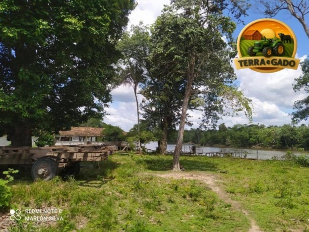 fazenda-a-venda-em-tailandia-para-beira-do-rio-moju-big-2