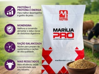 pro-torque-35-fml-para-bovinos-de-corte-35-pb-pacote-fml-cromo-organico-sacaria-30-kg