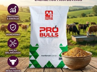 pro-bulls-para-bovinos-de-corte-proteico-energetico-25-pb-salinomicina-cromo-organico-sacaria-30-kg