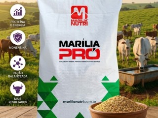 pro-turbo-200-fml-para-bovinos-de-corte-proteico-energetico-20-pb-alta-energia-pacote-fml-sacaria-30-kg