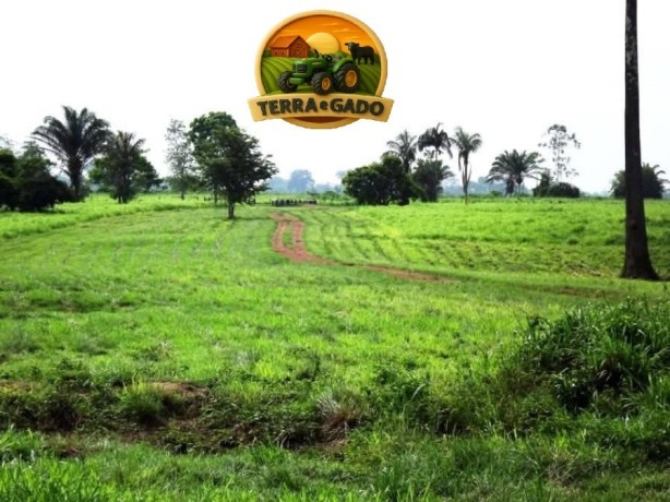 mega-fazenda-a-venda-no-para-12000-hectares-alta-produtividade-big-2