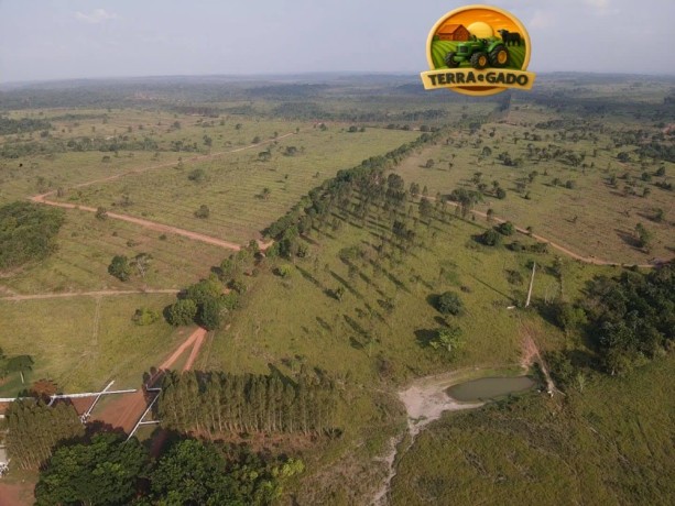 mega-fazenda-a-venda-no-para-12000-hectares-alta-produtividade-big-1