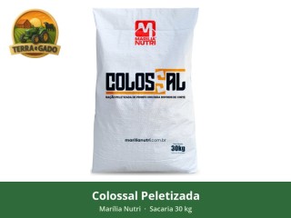 racao-colossal-peletizada-para-bovinos-de-corte-alta-digestibilidade-salinomicina-sacaria-30-kg