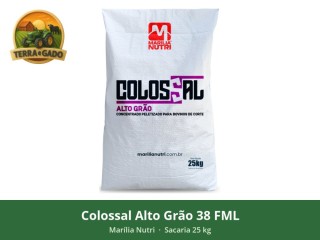 colossal-alto-grao-38-fml-para-bovinos-de-corte-concentrado-peletizado-38-pb-dieta-alto-grao-sacaria-25-kg