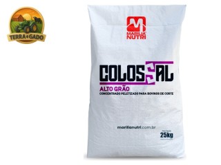 colossal-alto-grao-38-fml-concentrado-peletizado-38-pb-para-confinamento-sem-volumoso