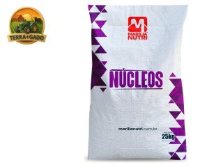 nucleo-pro-multi-nucleo-mineral-para-preparo-de-proteinados-de-bovinos-de-corte-salinomicina-saco-25-kg