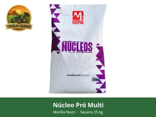 nucleo-pro-multi-para-bovinos-de-corte-preparo-de-proteinados-salinomicina-90-g-de-fosforo-sacaria-25-kg