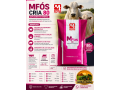 mfos-cria-80-suplemento-mineral-base-forte-para-a-cria-small-0