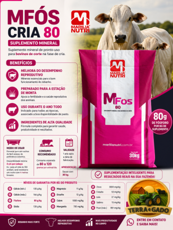 mfos-cria-80-suplemento-mineral-base-forte-para-a-cria-big-0