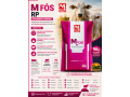 m-fos-rp-suplemento-mineral-maxima-eficiencia-reprodutiva-small-0