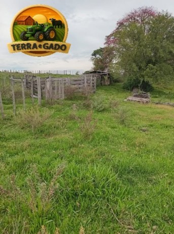 arrendamento-pecuario-350-hectares-em-pinheiro-machado-rs-big-0