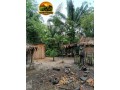 area-rural-no-para-com-acai-e-castanha-30-alqueires-a-venda-small-3