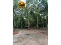 area-rural-no-para-com-acai-e-castanha-30-alqueires-a-venda-small-4
