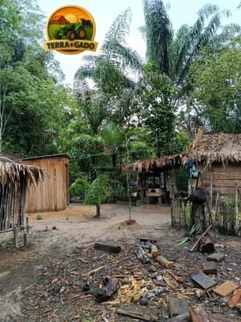 area-rural-no-para-com-acai-e-castanha-30-alqueires-a-venda-big-3