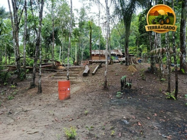 area-rural-no-para-com-acai-e-castanha-30-alqueires-a-venda-big-2