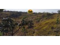 fazenda-a-venda-em-formosa-go-1147-hectares-para-pecuaria-ou-reserva-small-2