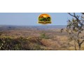 fazenda-a-venda-em-formosa-go-1147-hectares-para-pecuaria-ou-reserva-small-1