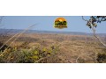 fazenda-a-venda-em-formosa-go-1147-hectares-para-pecuaria-ou-reserva-small-0