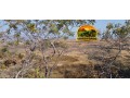fazenda-a-venda-em-formosa-go-1147-hectares-para-pecuaria-ou-reserva-small-3