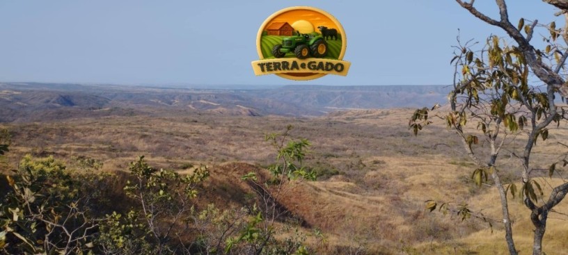 fazenda-a-venda-em-formosa-go-1147-hectares-para-pecuaria-ou-reserva-big-1